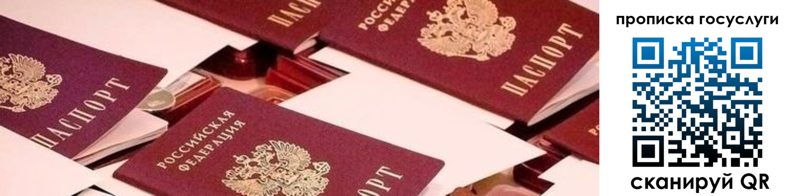 регистрация в Ивантеевке